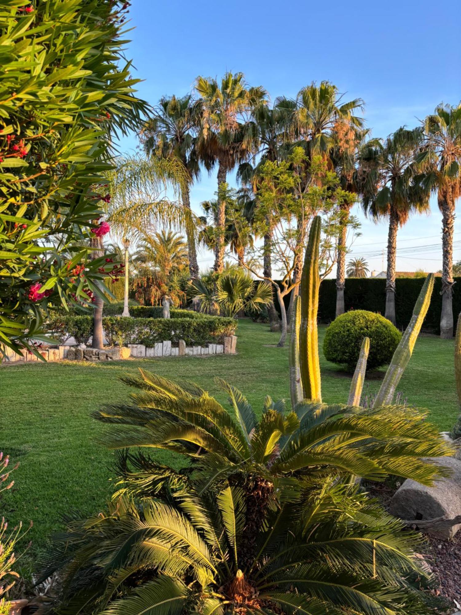 Villa Casa Joan Elche Exterior foto