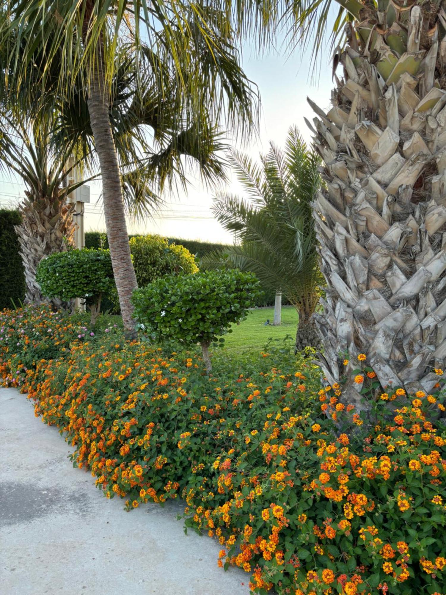 Villa Casa Joan Elche Exterior foto