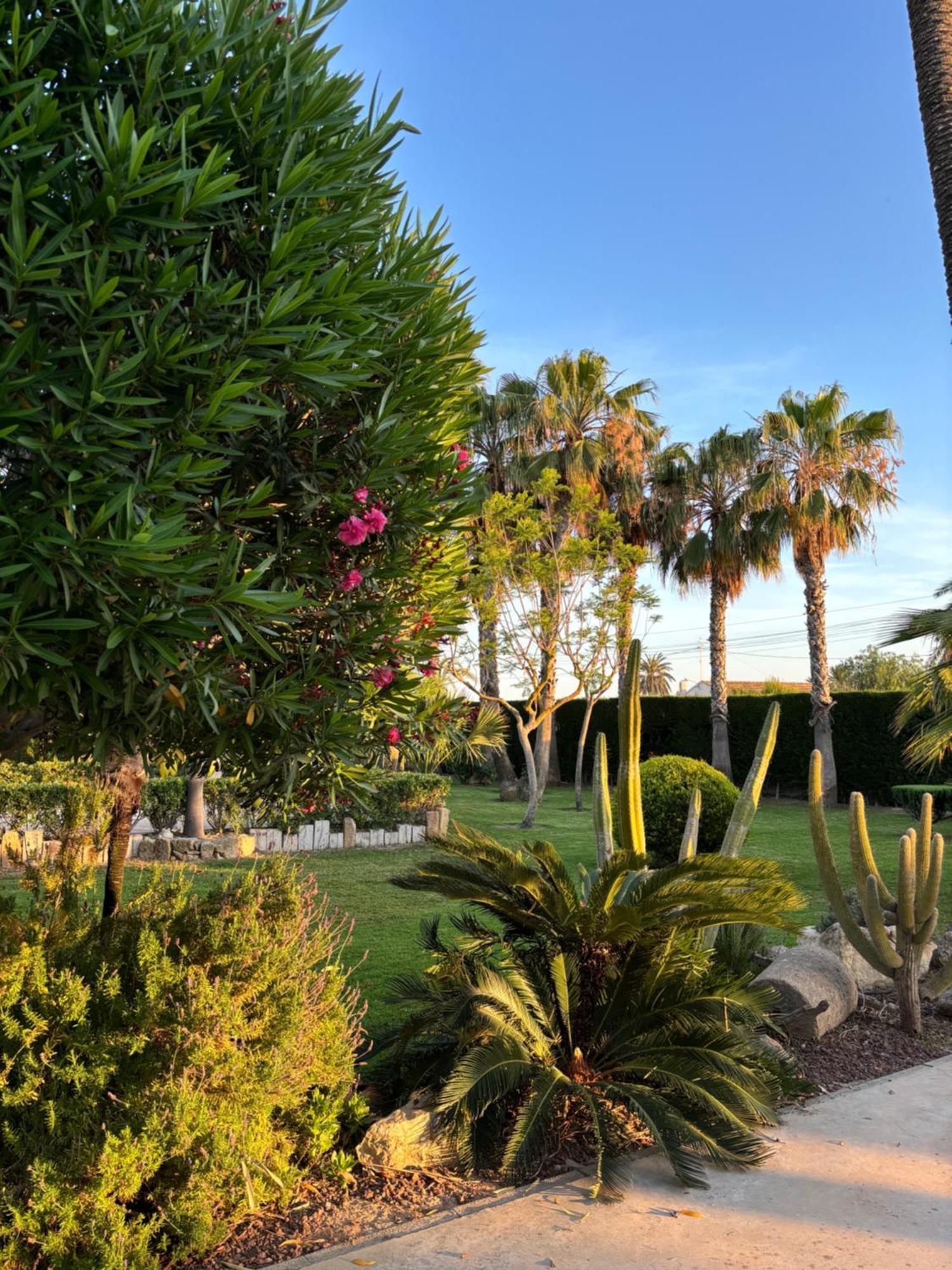 Villa Casa Joan Elche Exterior foto